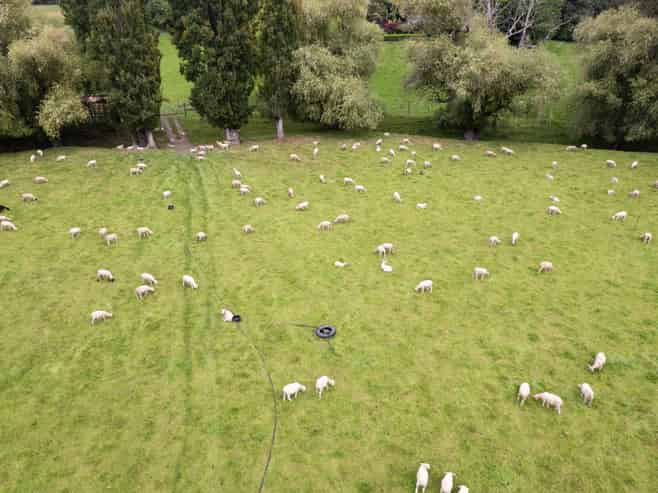 53 Horse Gully Road, Oamaru