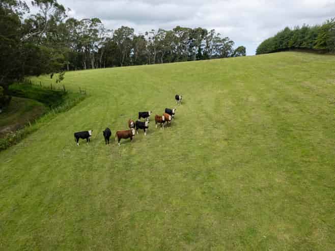 53 Horse Gully Road, Oamaru