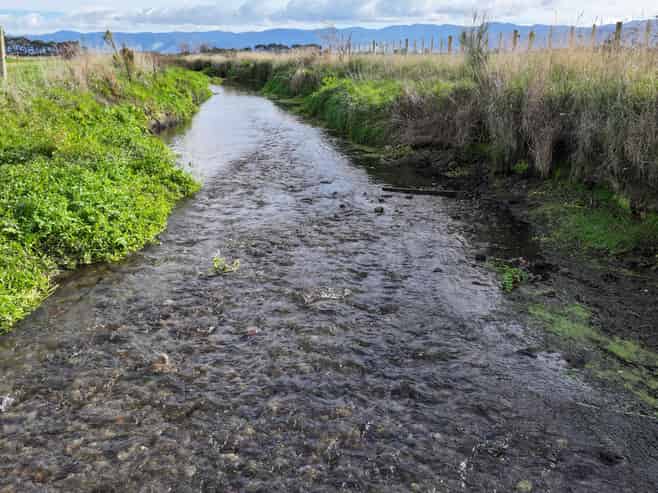  Te Maire Road, Featherston