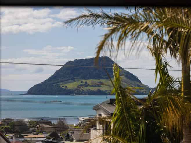 45 Pillans Road, Otumoetai