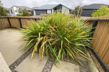 Bay of Plenty - Address withheld