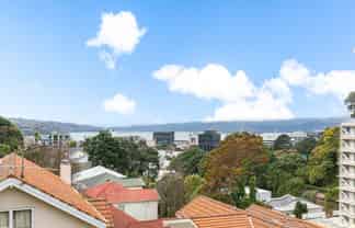 3/14C Glenmore Street, Thorndon