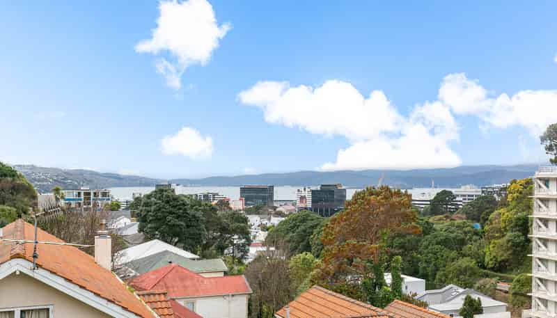3/14C Glenmore Street, Thorndon