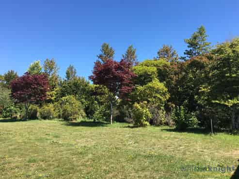 17 Styxspring Lane, Harewood