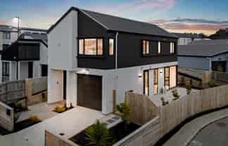55 Puwha Street, Massey