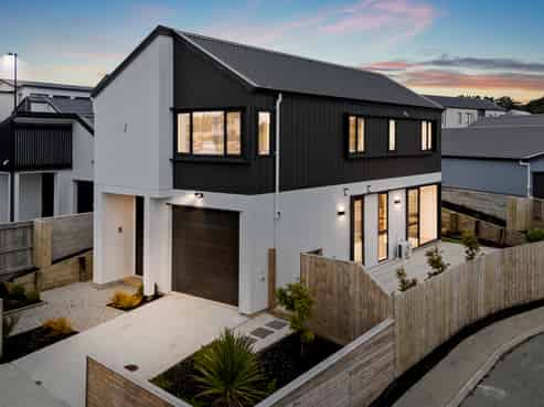 55 Puwha Street, Massey