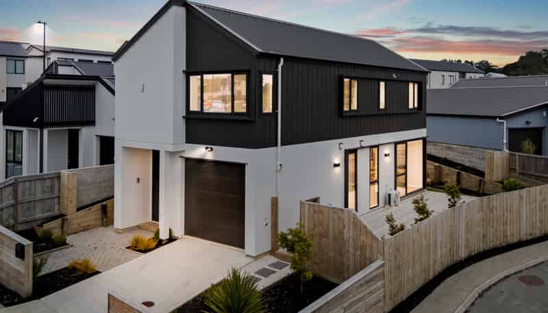 55 Puwha Street, Massey