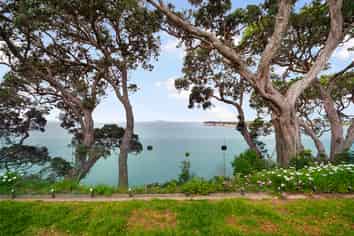 16 Palm Cove, Arkles Bay