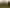 Bay of Plenty - Address withheld