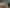 CORNERSTONE GREY LYNN INVESTMENT
