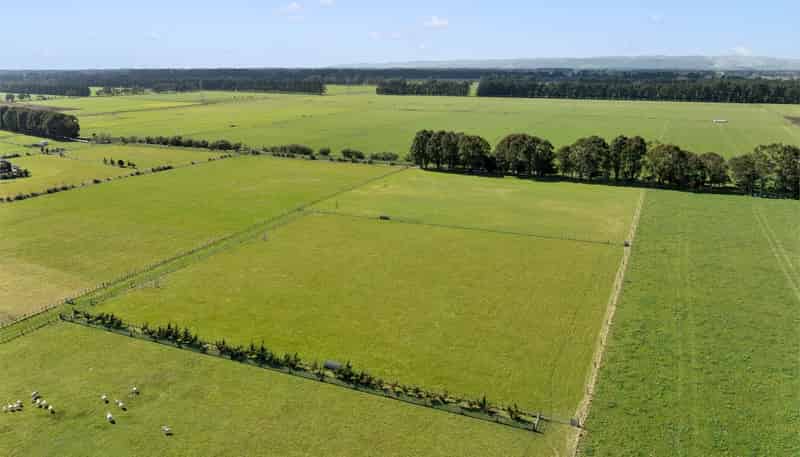 Lot 2, 176 Boundary Road, Tauherenikau