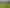 171 Dominion Road, Mahana