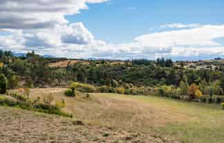 167 Dominion Road, Mahana