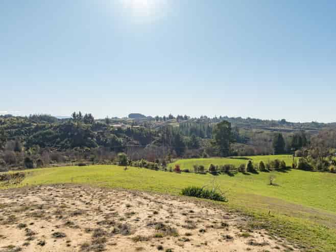 167 Dominion Road, Mahana