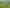 87 Lee Road, Onewhero
