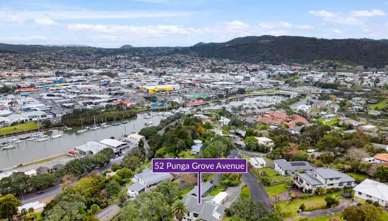 52 Punga Grove Avenue, Riverside