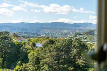 15A Hoggard Street, Vogeltown