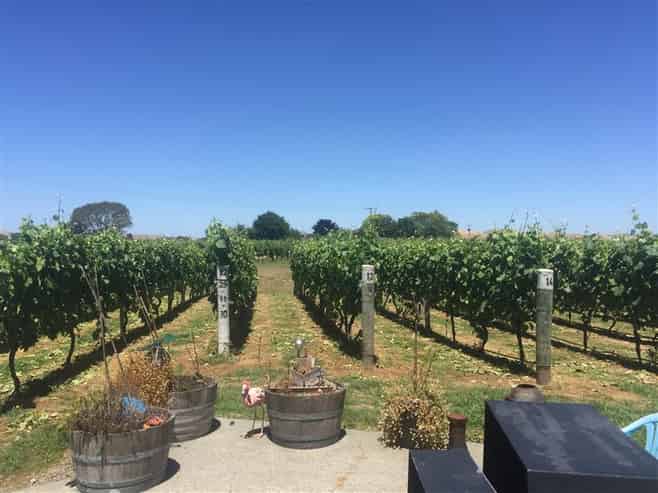 Vineyard A/217 Ngatarawa Road, Bridge Pa