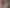 Tiny Tenancy