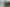 Auckland - Address withheld