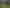 3345A Weber Road, Dannevirke