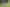 3345A Weber Road, Dannevirke