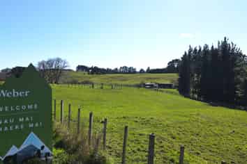 3345A Weber Road, Dannevirke