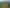 27ha of rezoned residential land