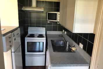 2/2 Brent Street, Maori Hill