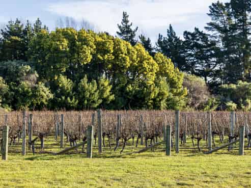  Nursery Road, Seddon