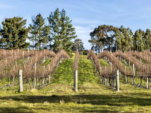  Nursery Road, Seddon