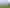 37 Cherrywood Drive, Otumoetai