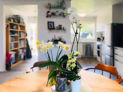 2A Koromiko Road, Waikanae