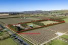 25 Stock Road, Pakipaki, Hastings, Hawkes Bay