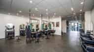 Open gallery