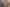 Auckland - Address withheld