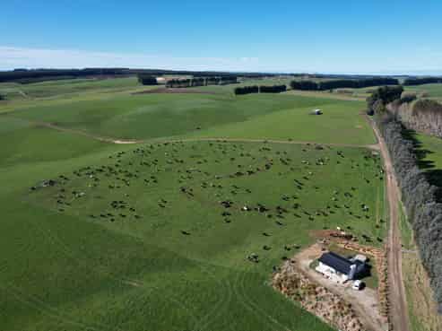 142 Endowment Road, Hedgehope