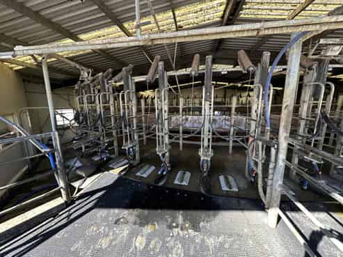 142 Endowment Road, Hedgehope