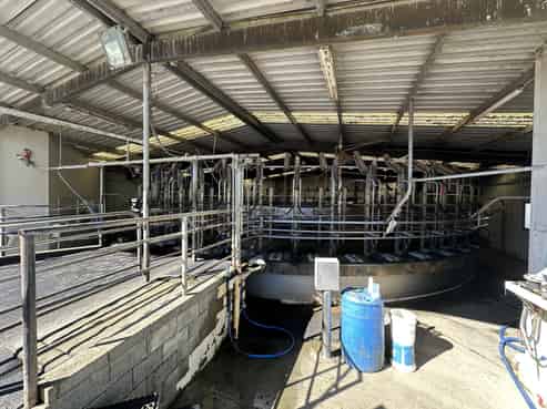 142 Endowment Road, Hedgehope