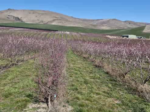 159 Thomson Gorge Road, Bendigo