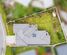 3 Walter Place, Kirwee, Selwyn, Canterbury