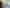 Wellington - Address withheld