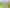 Wellington - Address withheld