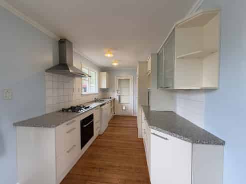 54 Black Beech Street, Birchville