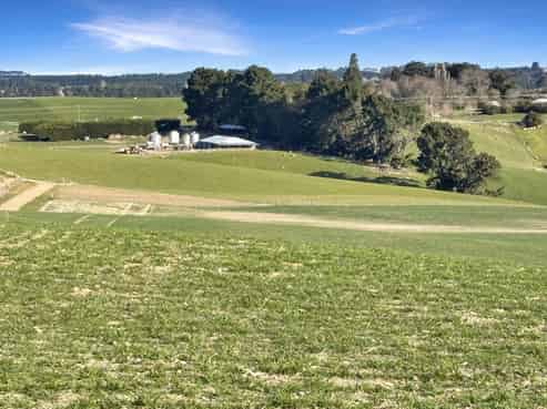 594 Tokarahi-ngapara Road, Duntroon