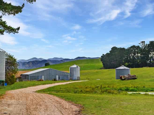 594 Tokarahi-Ngapara Road, Ngapara