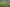 878 Russell Rd, Whakapara