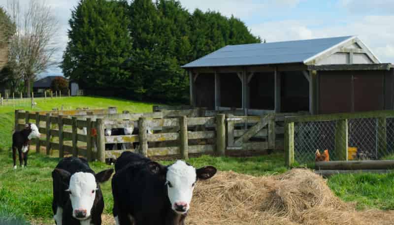 340 Deep Creek Road, Reporoa