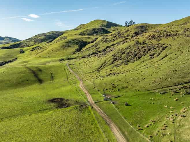 324 Reeces Road, Omihi
