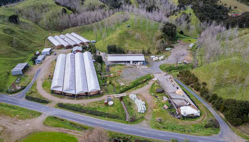 878 Russell Road, Whakapara